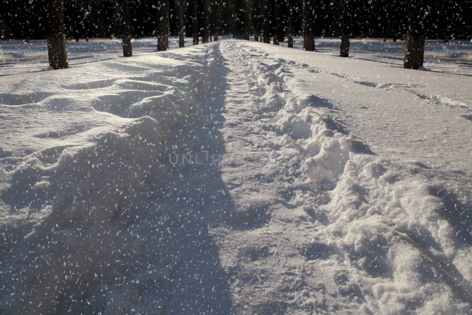 Snow covered path at night by ssuaphoto