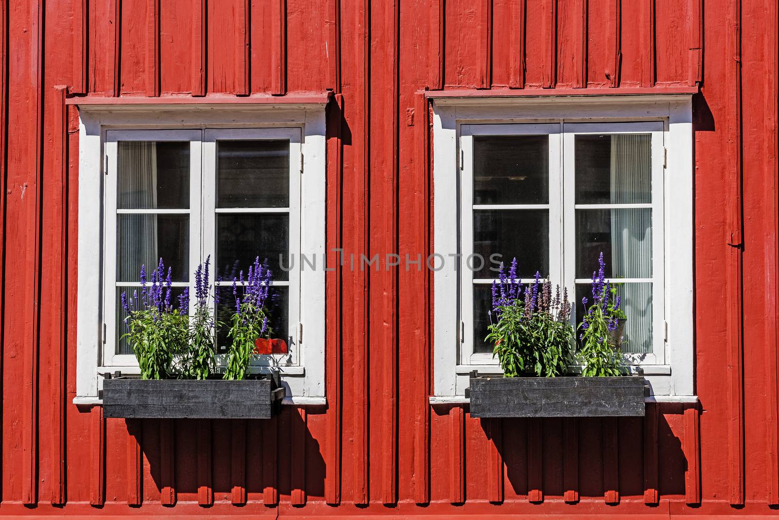 Windows on a wooden facade, by pawel_szczepanski