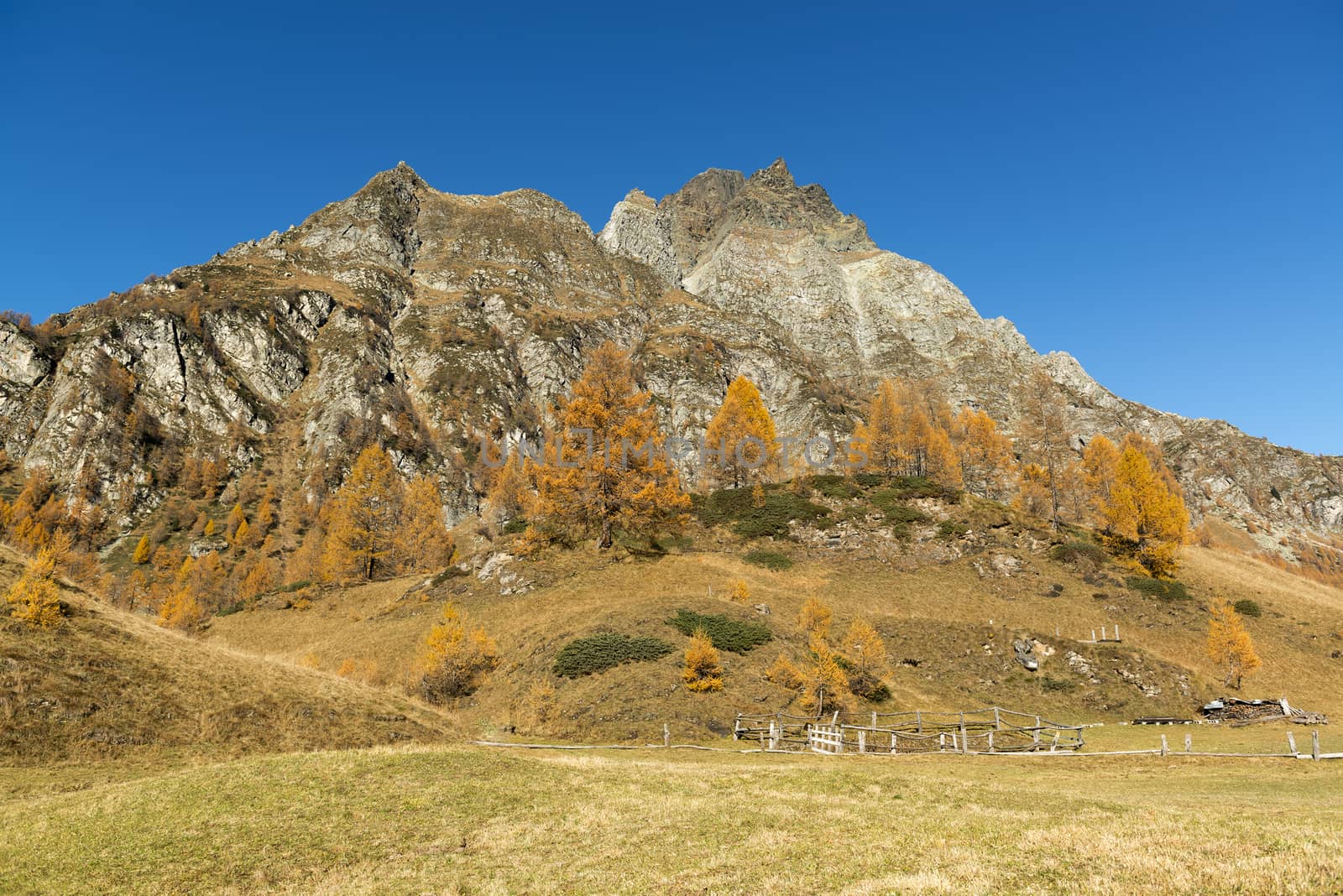 Autumn colors at the Devero Alp by Mdc1970