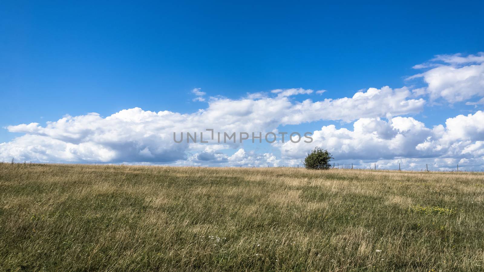 Meadow near Kaseberga by pawel_szczepanski