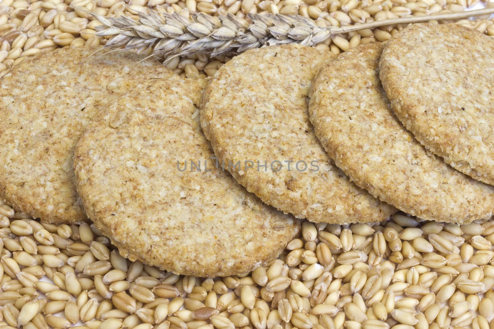 Crunchy biscuit with wholemeal flour
