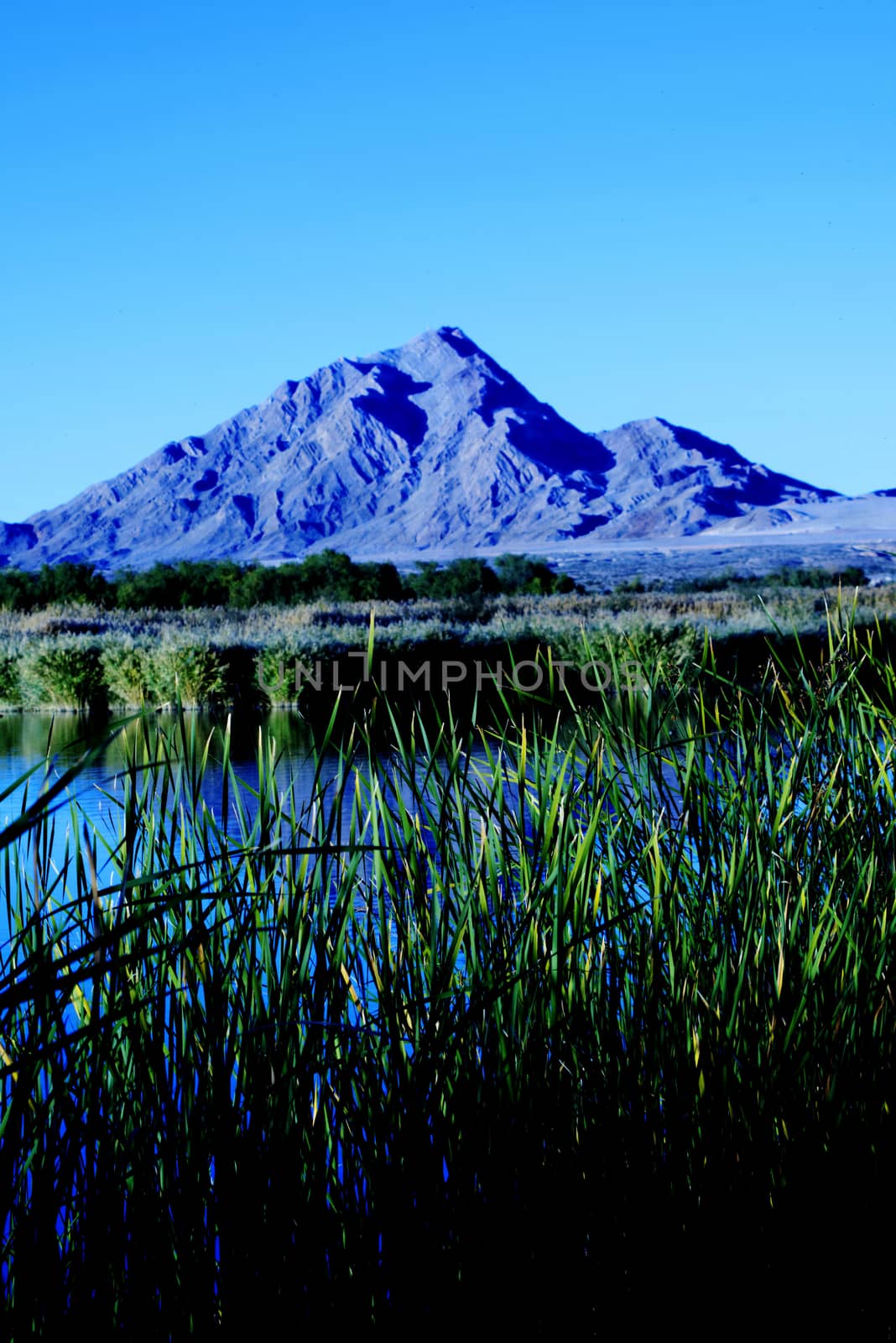 Grass, Water, and a Mountain, Wetlands Park, Las Vegas, Nevada, USA by oskyle