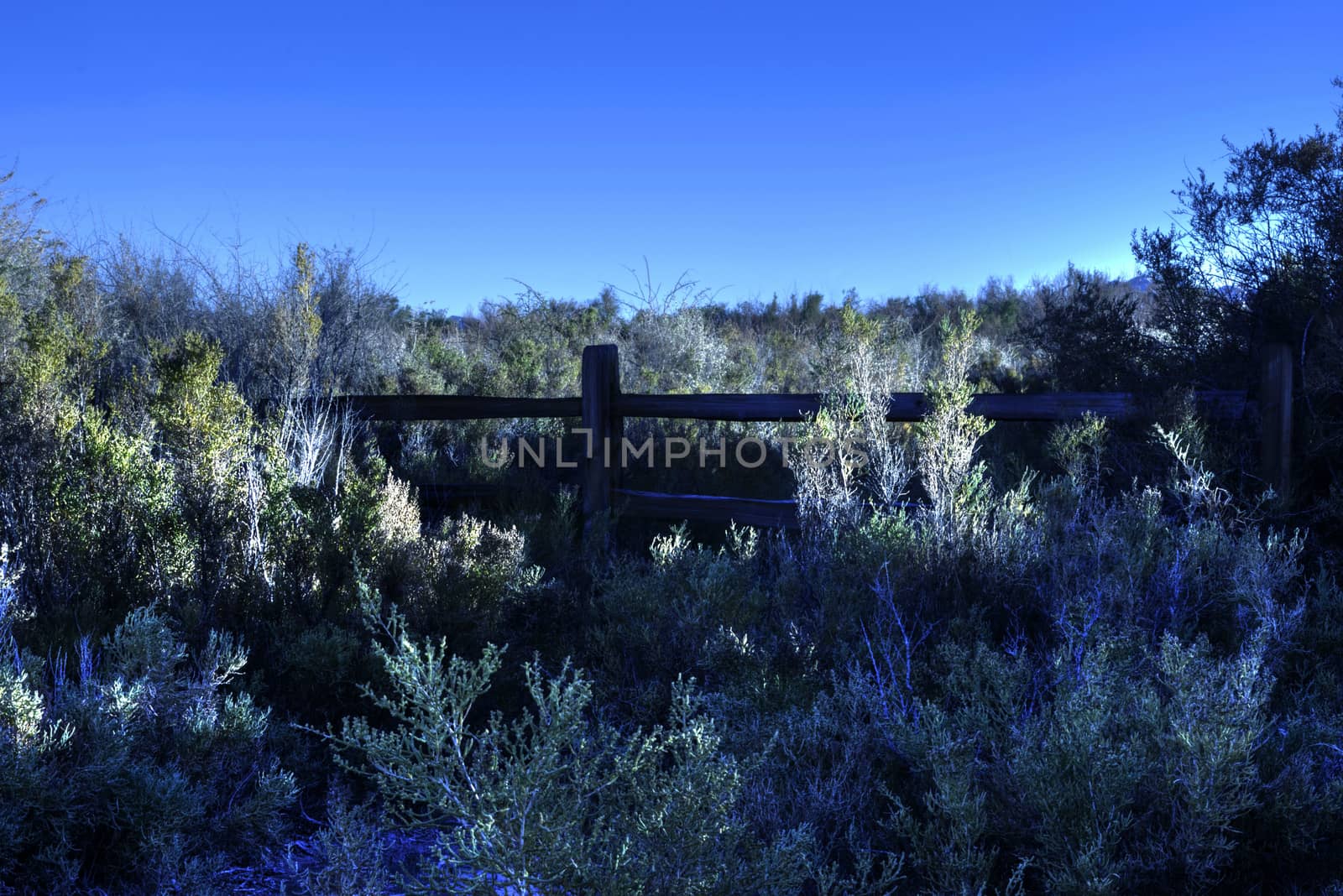 Fence, Wetlands Park, Las Vegas, Nevada, USA by oskyle