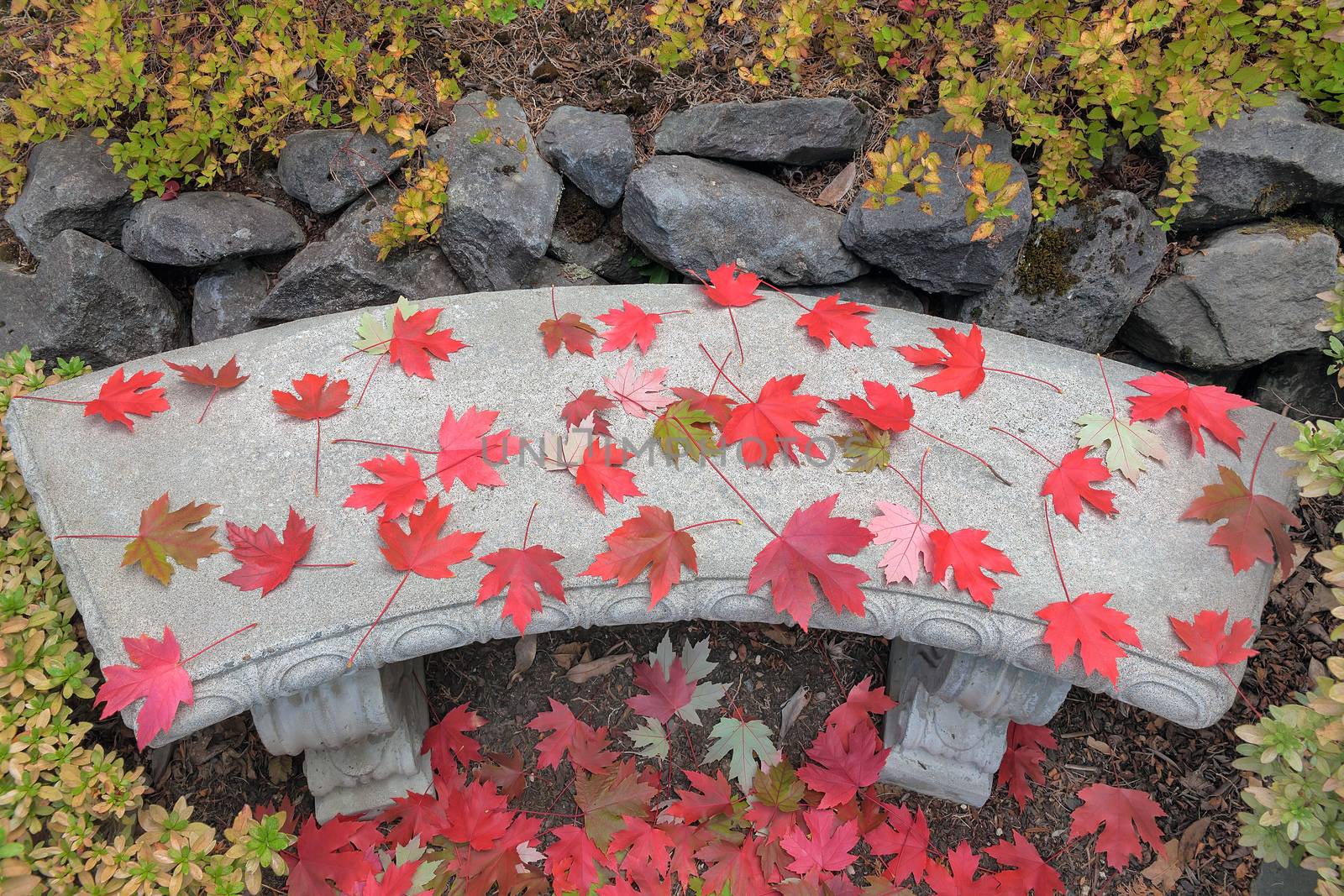 Red Maple Leaves on Conrete Stone Garden Bench During Fall Season