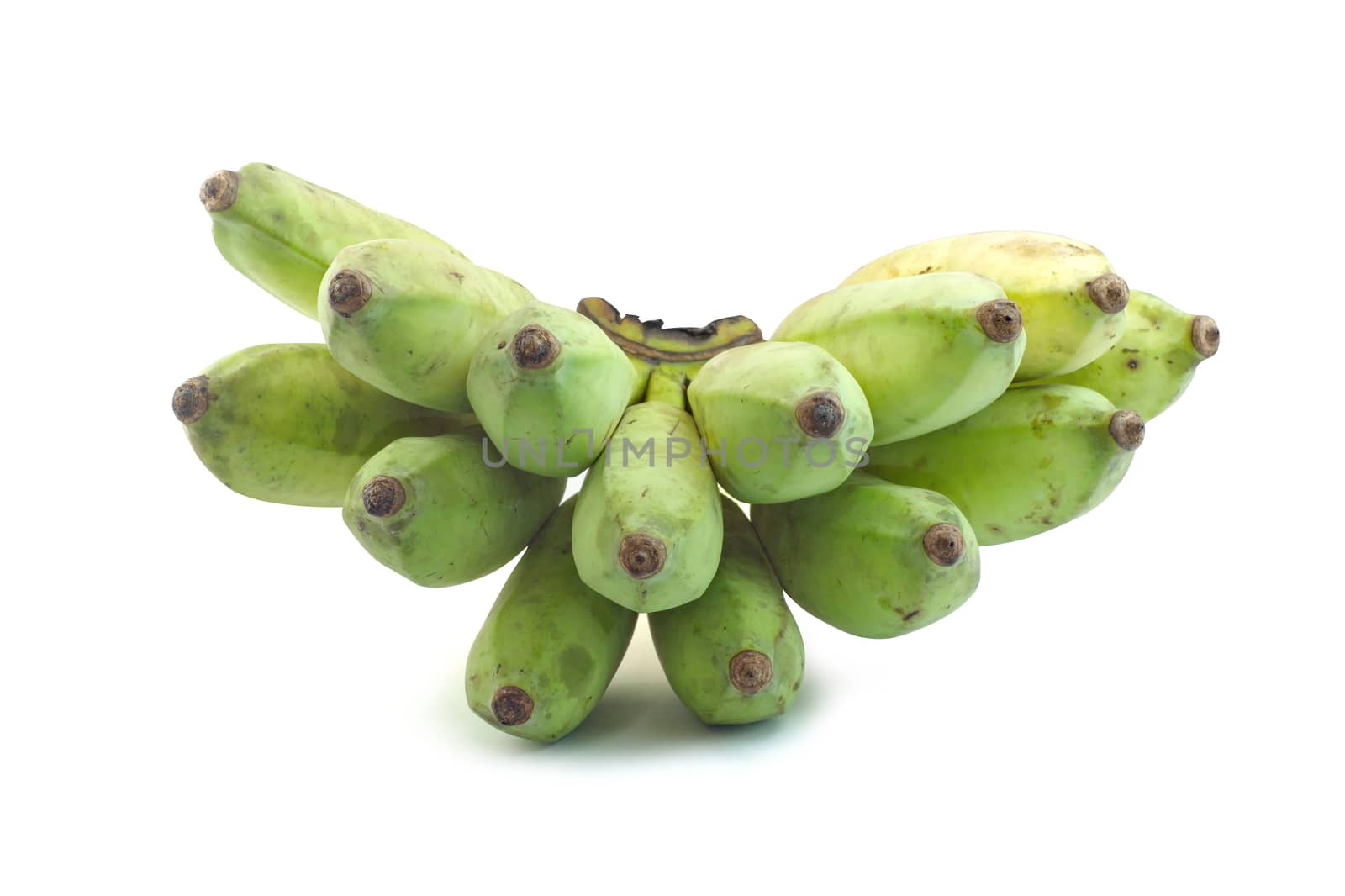 Green bananas  on isolate white background, Pisang Awak bananas, Kluai Nam Wa, Cultivate bananas