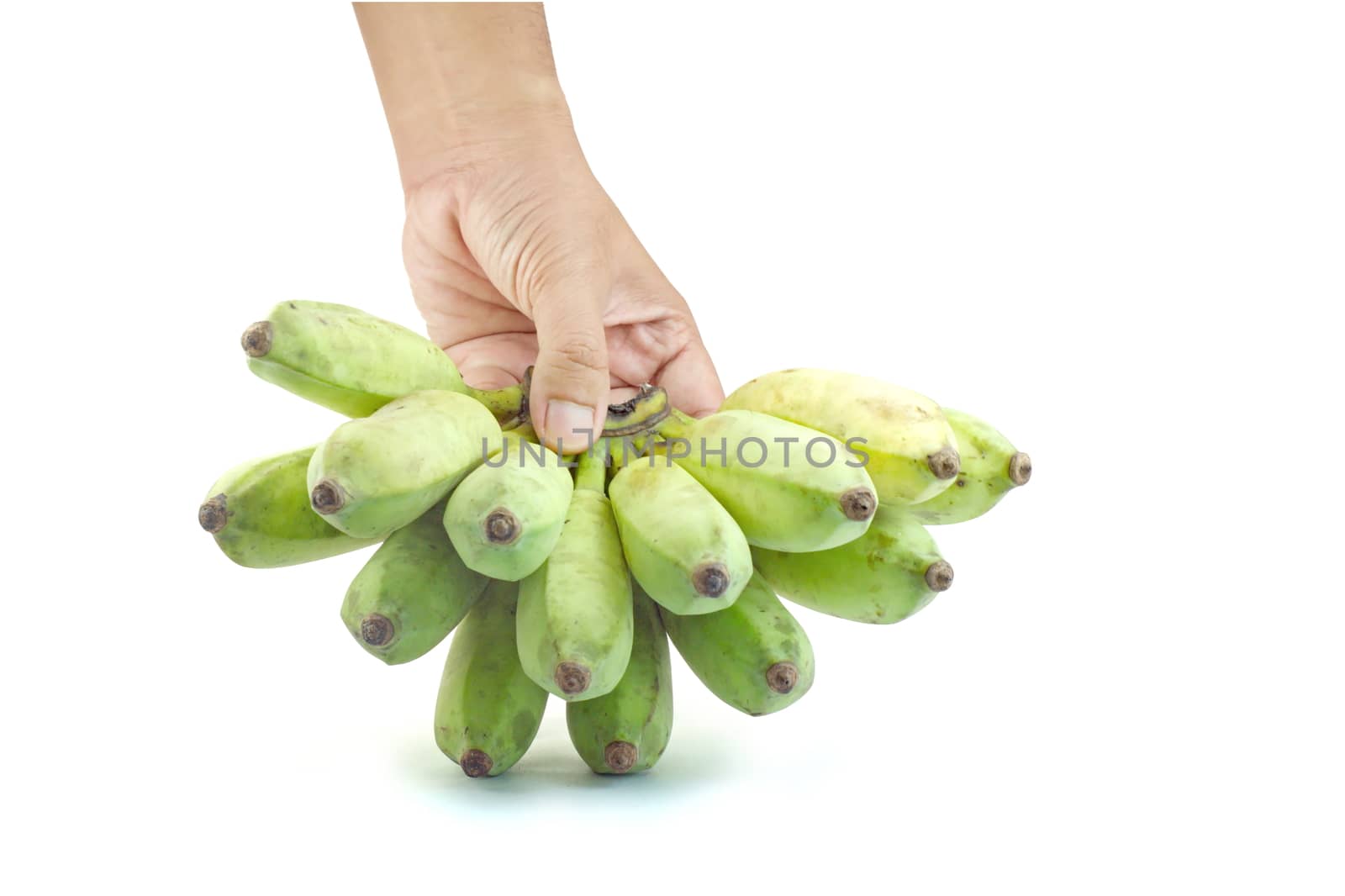 Hand-picked bananas on isolate white background, Green banana