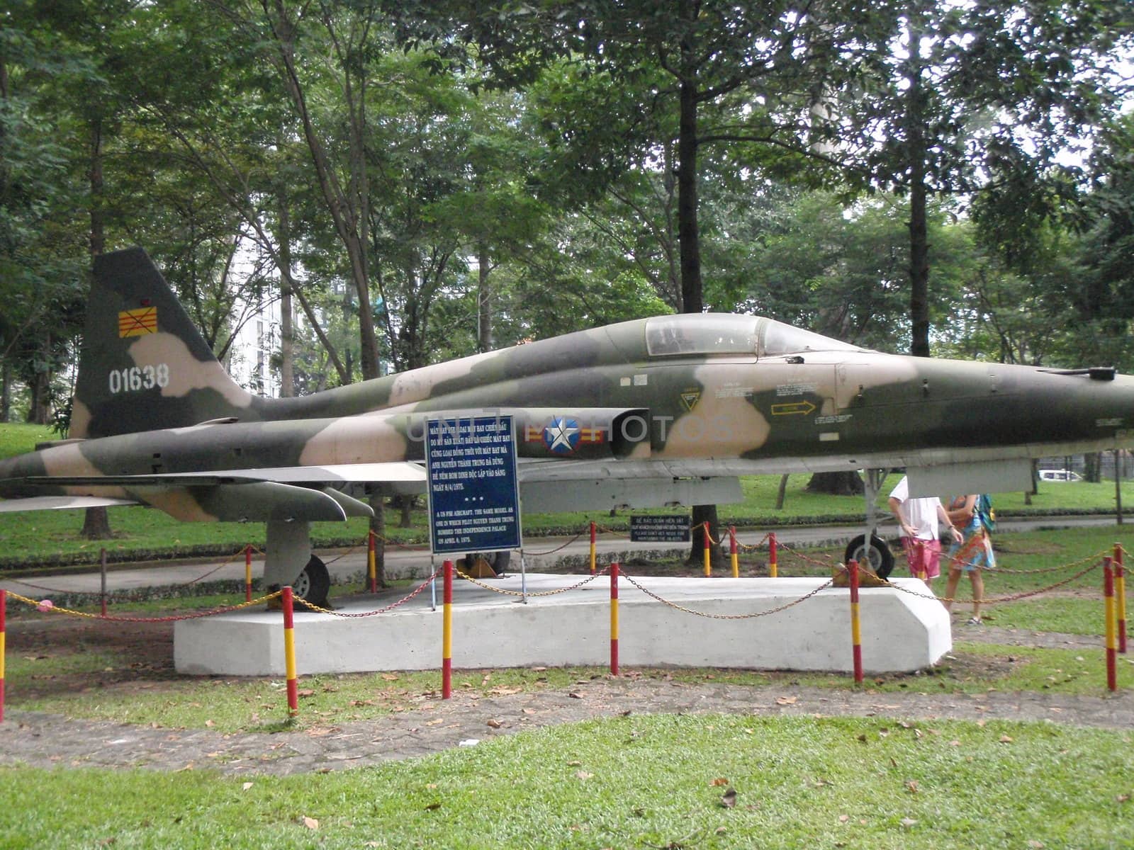 Fighter in Vietnam