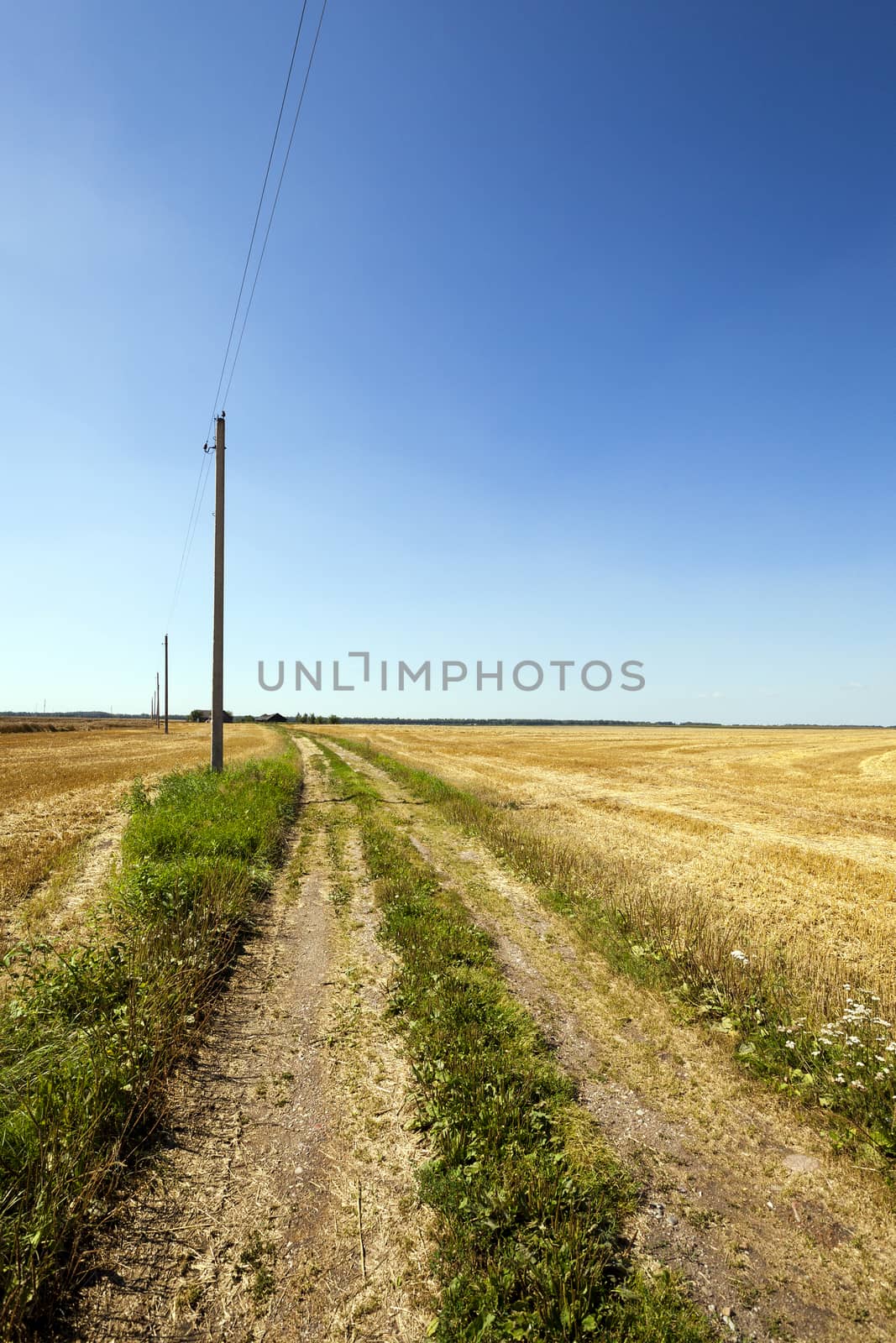   Rural Dirt road passing between agricultural fields, which harvested. Electric pole.