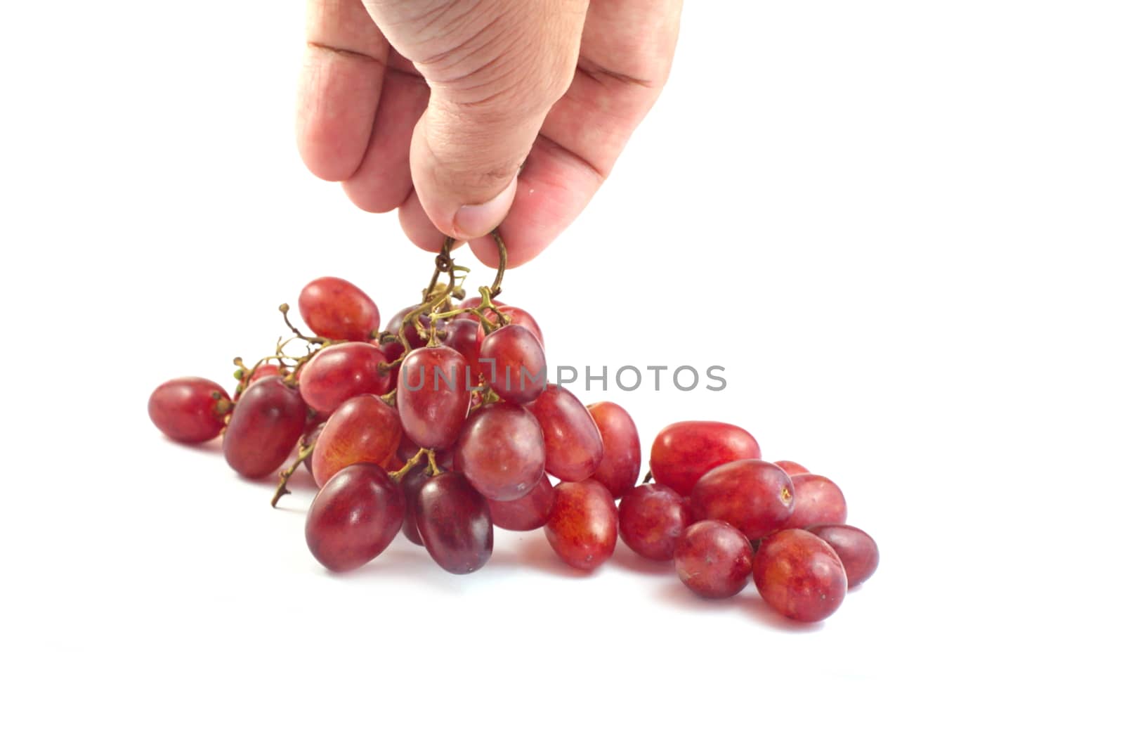 Hand picking the red grapes on white background select focus
