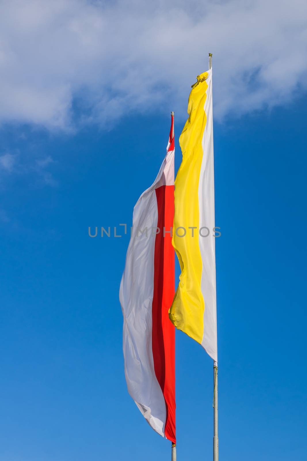 Polish and Papal flags by pawel_szczepanski
