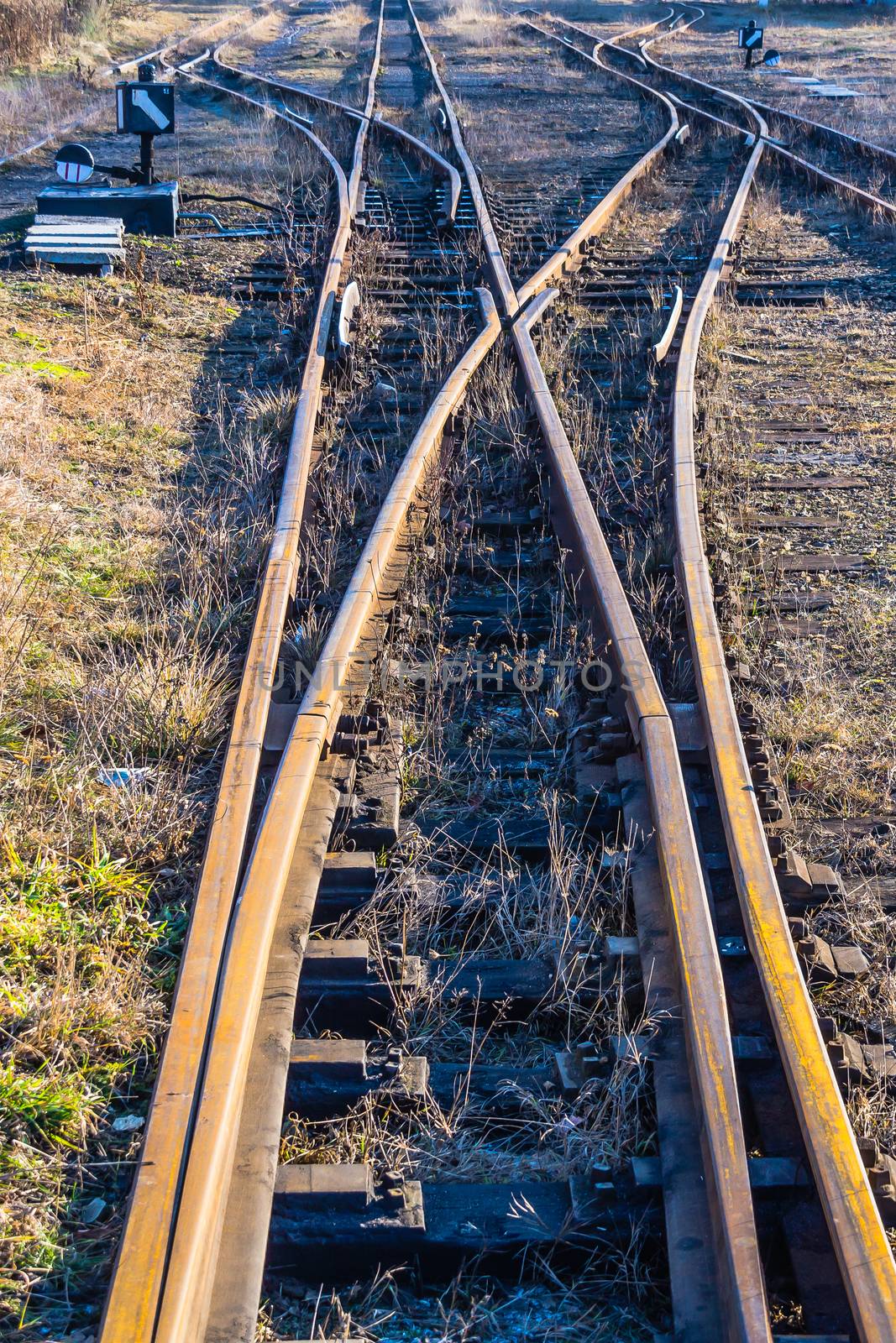 Narrow-gauge railway by pawel_szczepanski