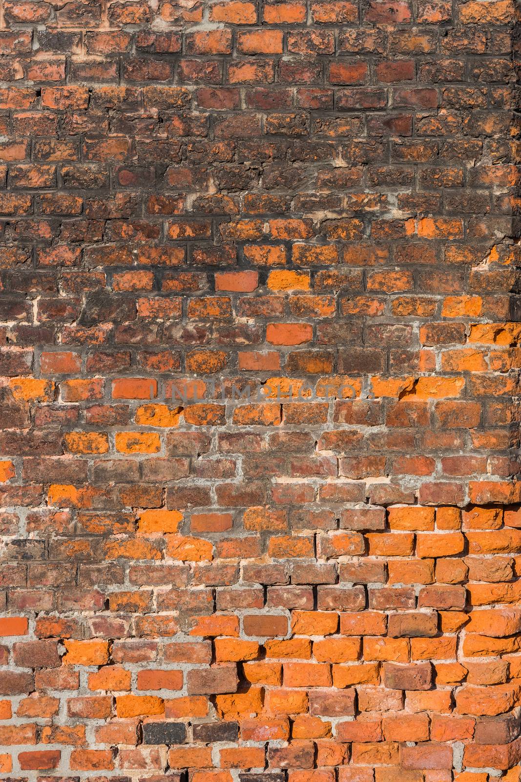 Vertical red brick by pawel_szczepanski
