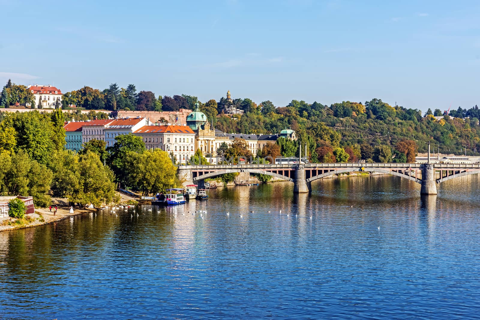 View on the Vltava River by pawel_szczepanski