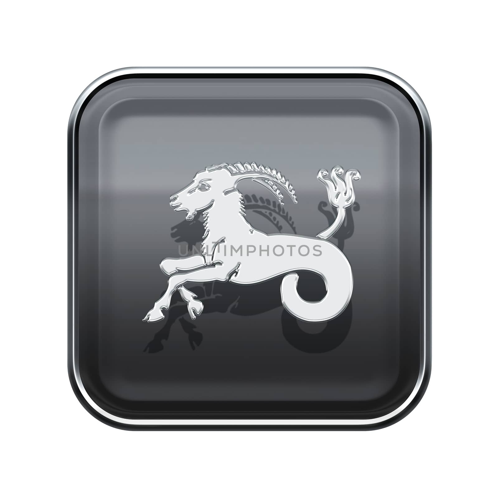 Capricorn zodiac icon grey, isolated on white background by zeffss