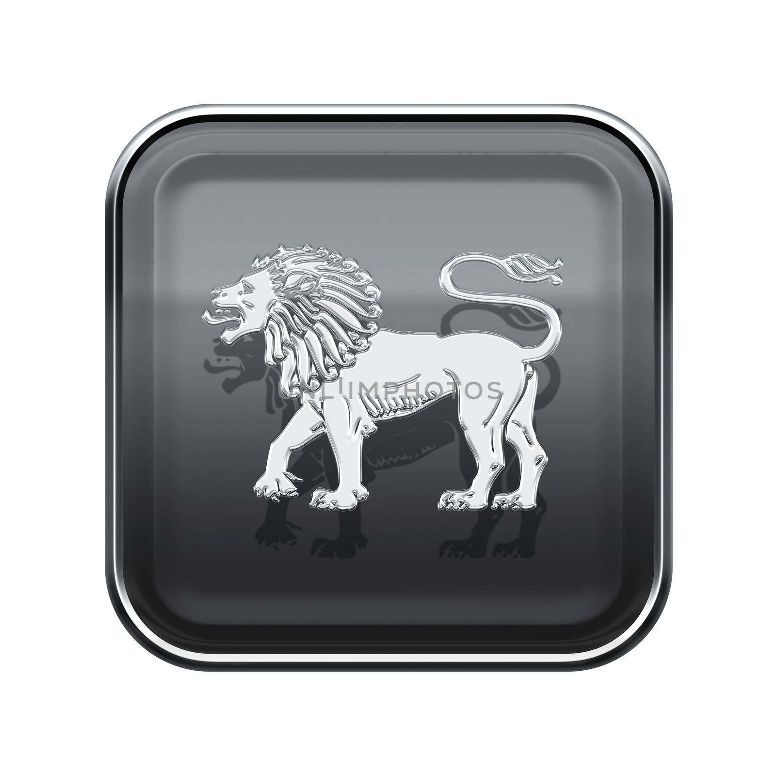 Lion zodiac icon grey, isolated on white background