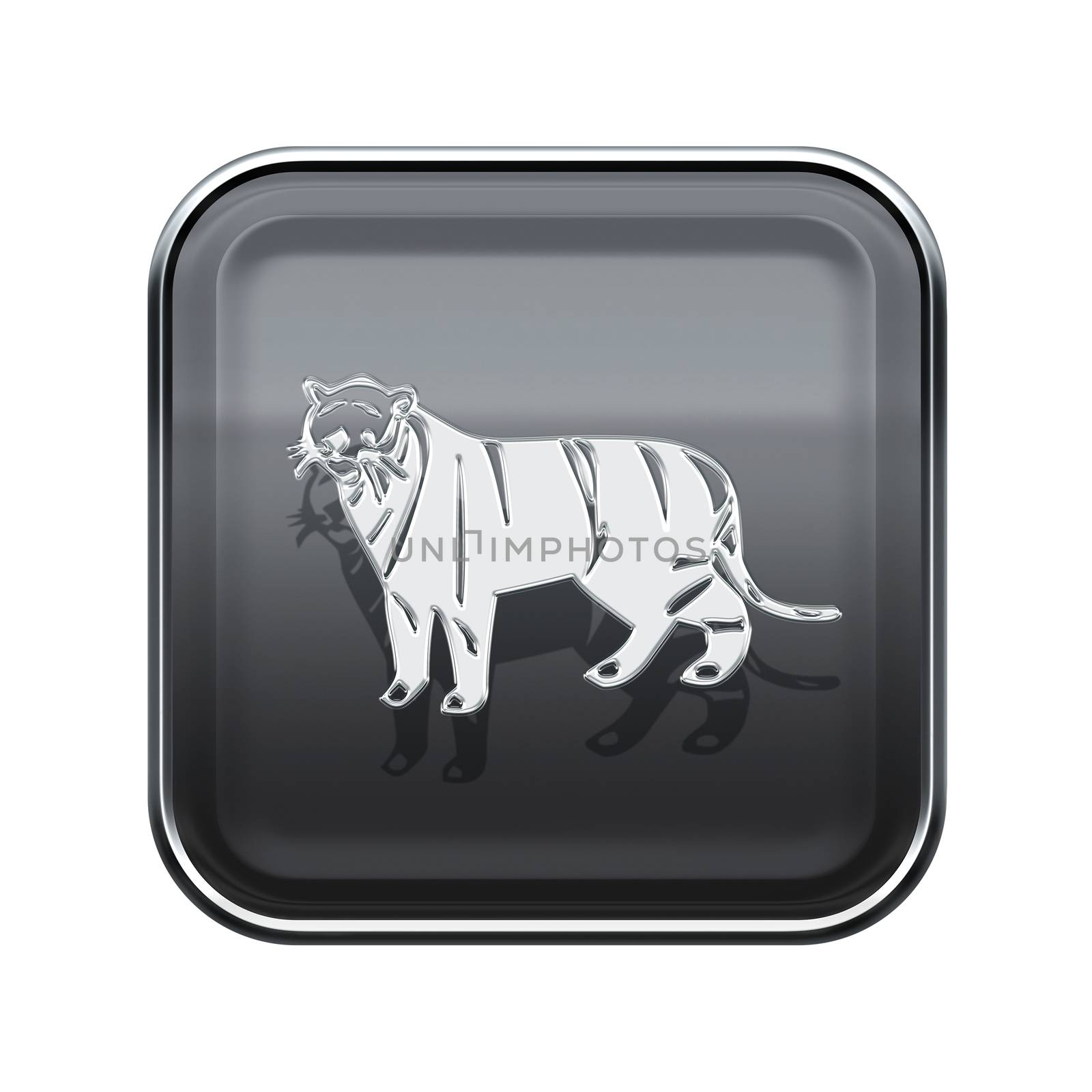 Tiger Zodiac icon grey, isolated on white background. by zeffss