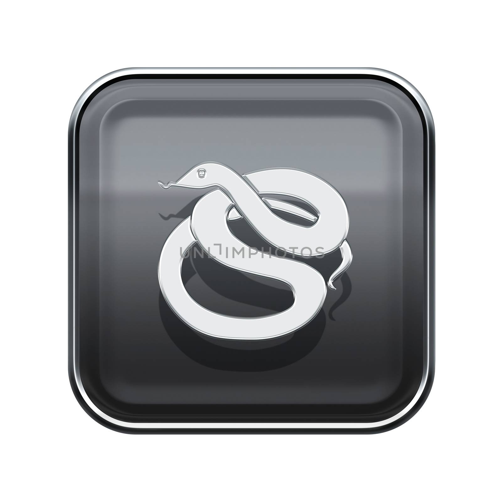 Snake Zodiac icon grey, isolated on white background. by zeffss