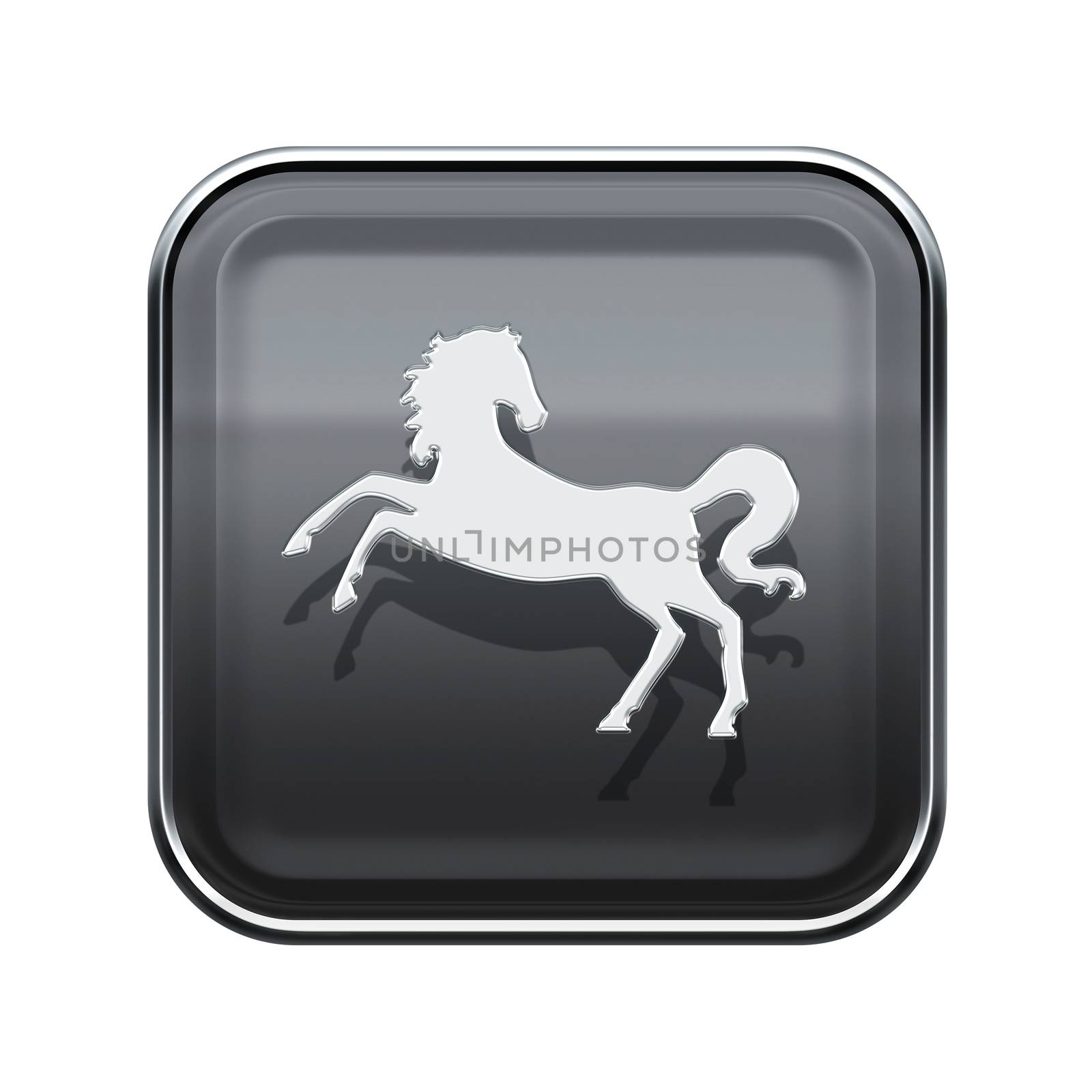 Horse Zodiac icon grey, isolated on white background.