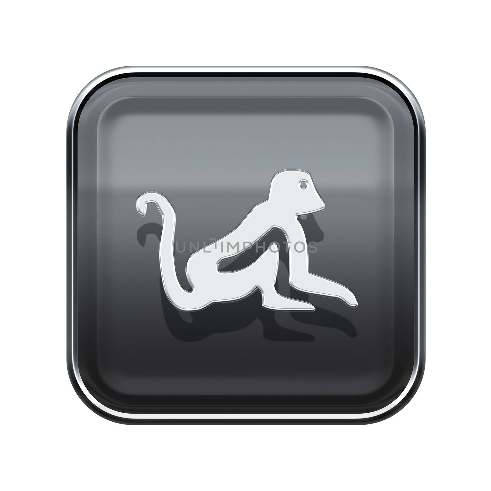 Monkey Zodiac icon grey, isolated on white background. by zeffss