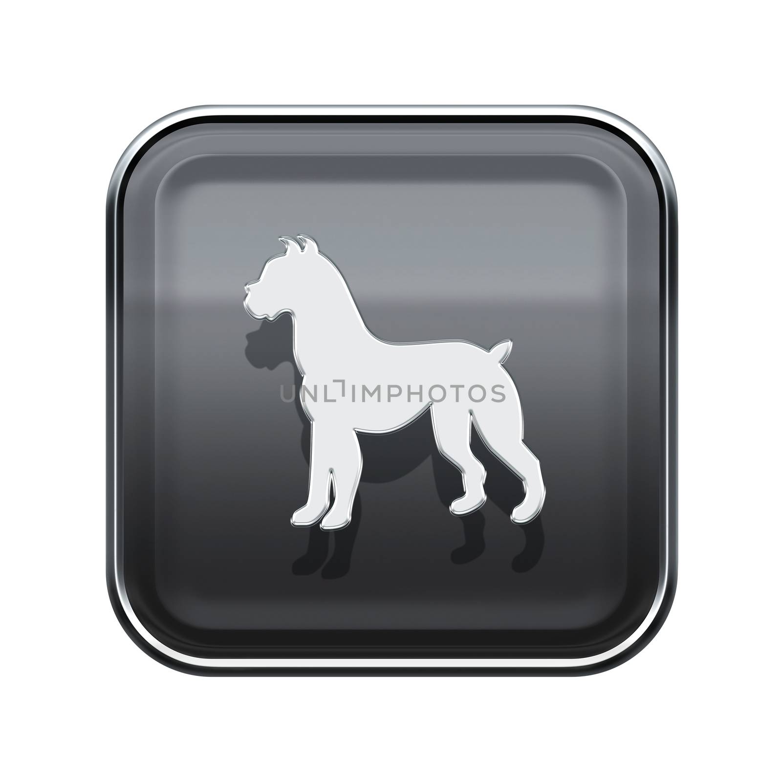 Dog Zodiac icon grey, isolated on white background. by zeffss