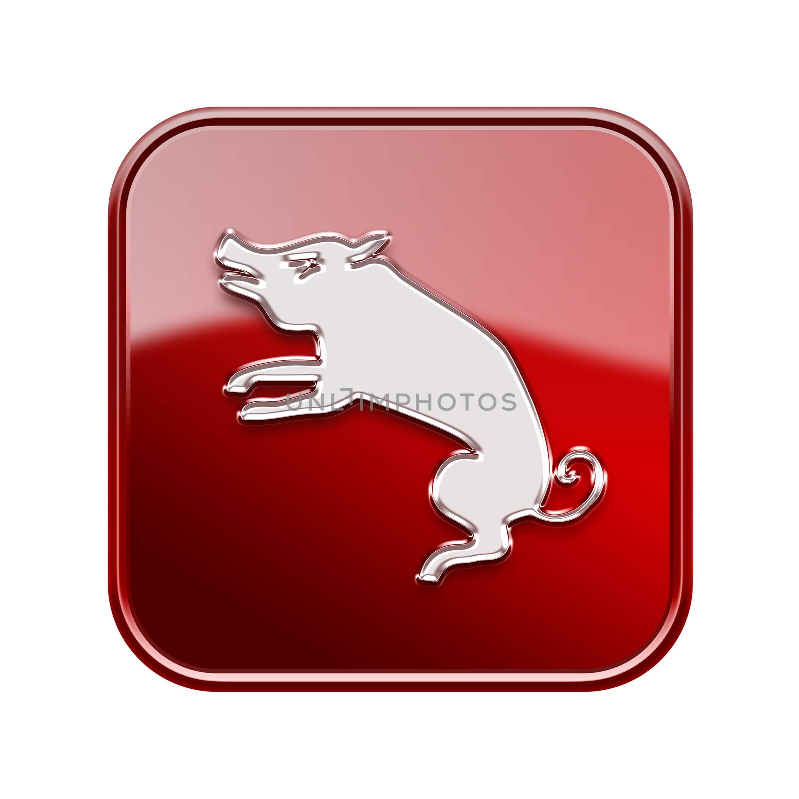Rat Zodiac icon red, isolated on white background. by zeffss