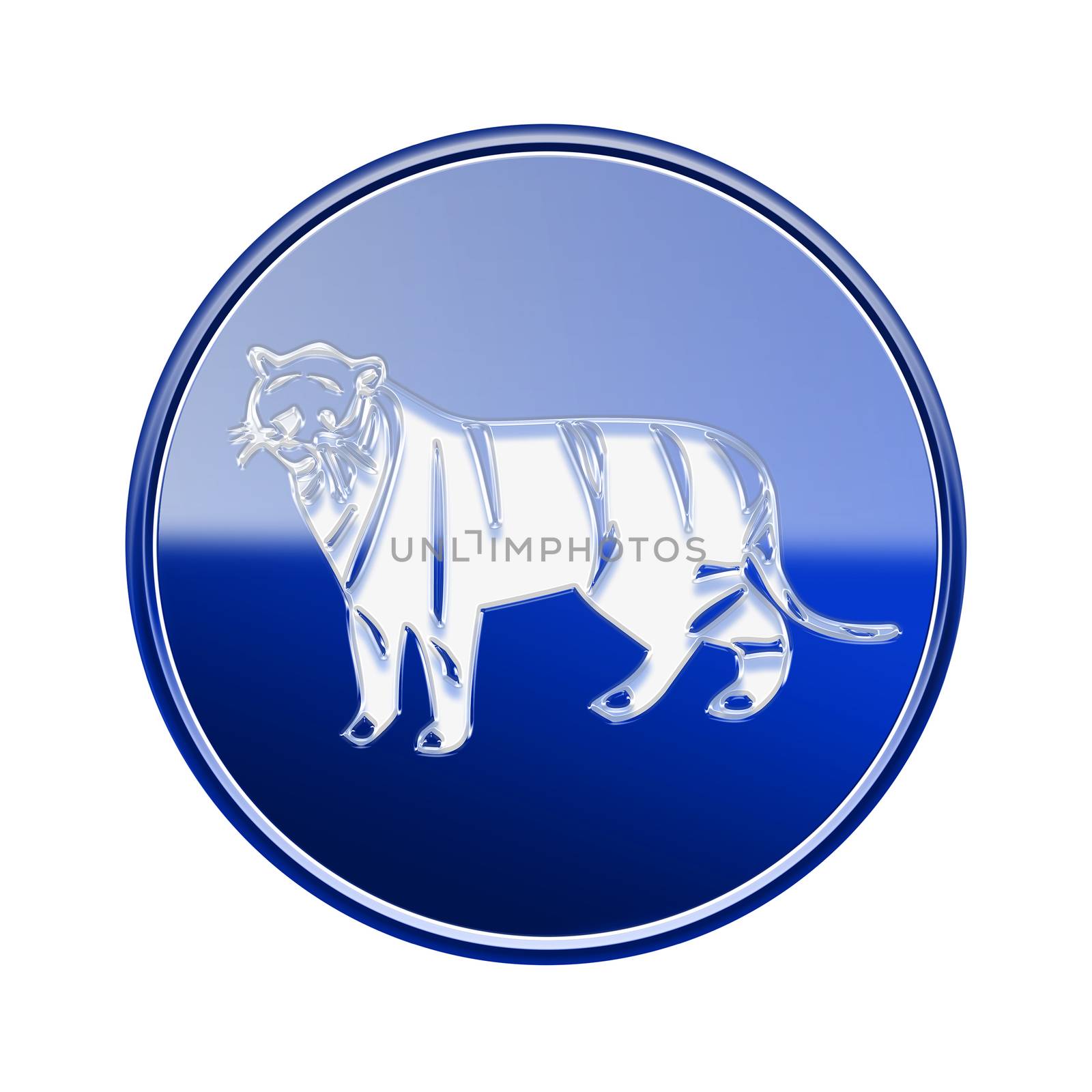 Tiger Zodiac icon blue, isolated on white background.