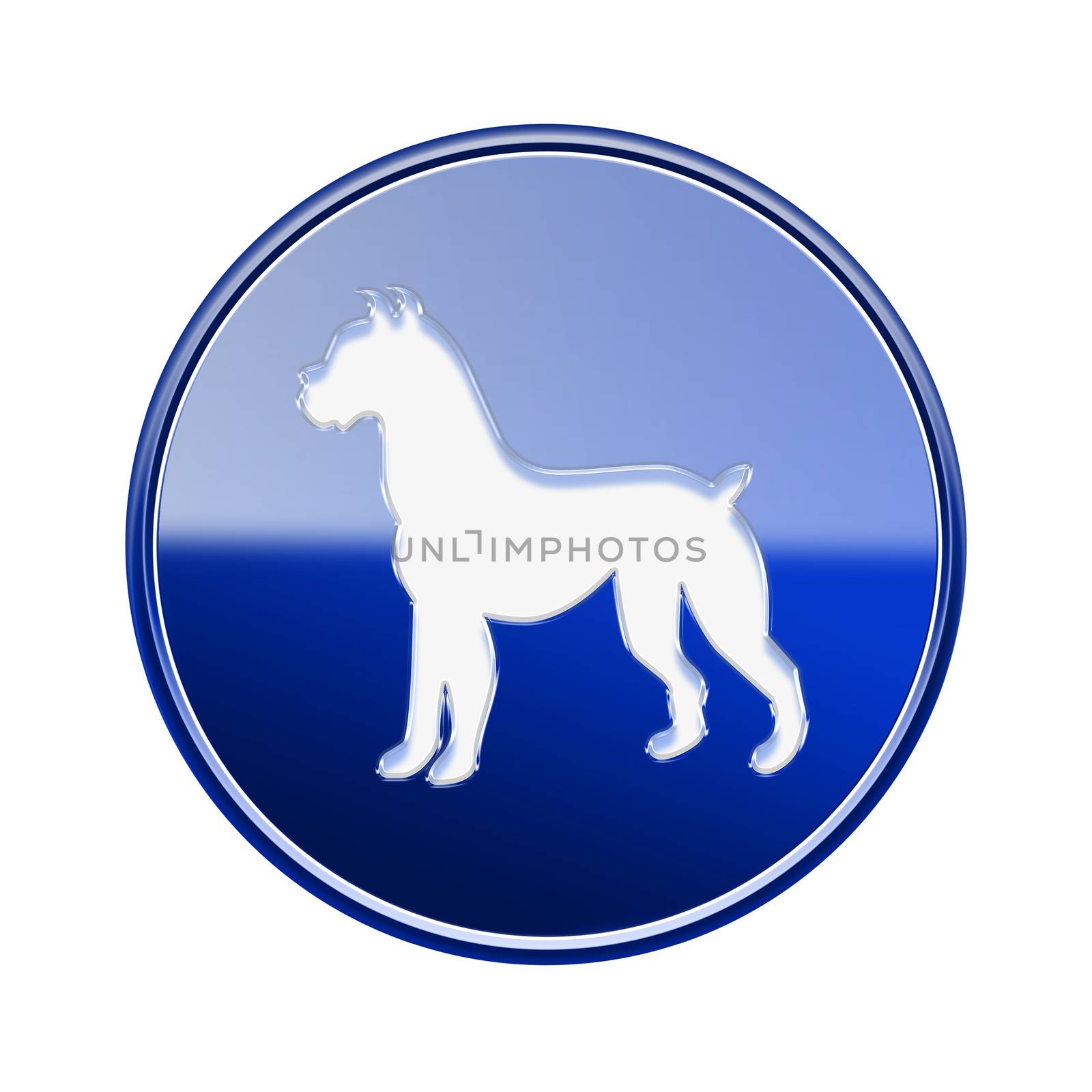 Dog Zodiac icon blue, isolated on white background. by zeffss