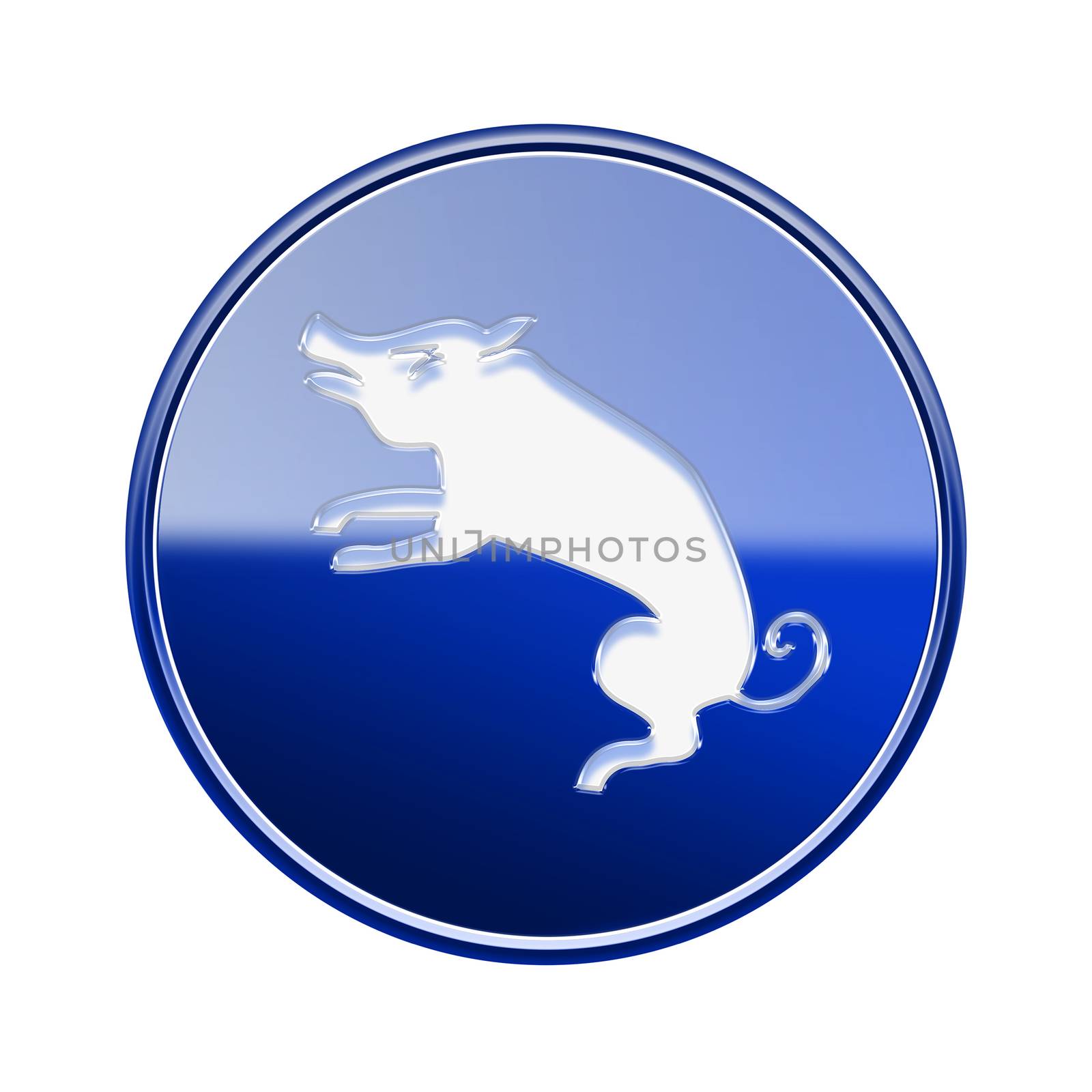 Rat Zodiac icon blue, isolated on white background. by zeffss