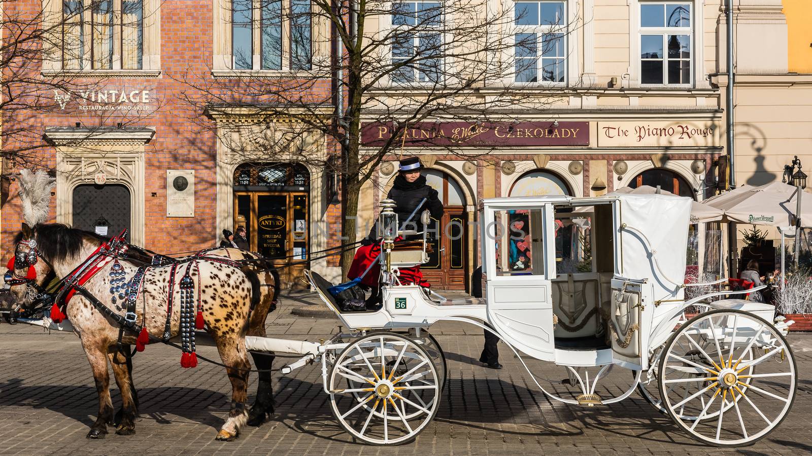 Old-styled carriage by pawel_szczepanski