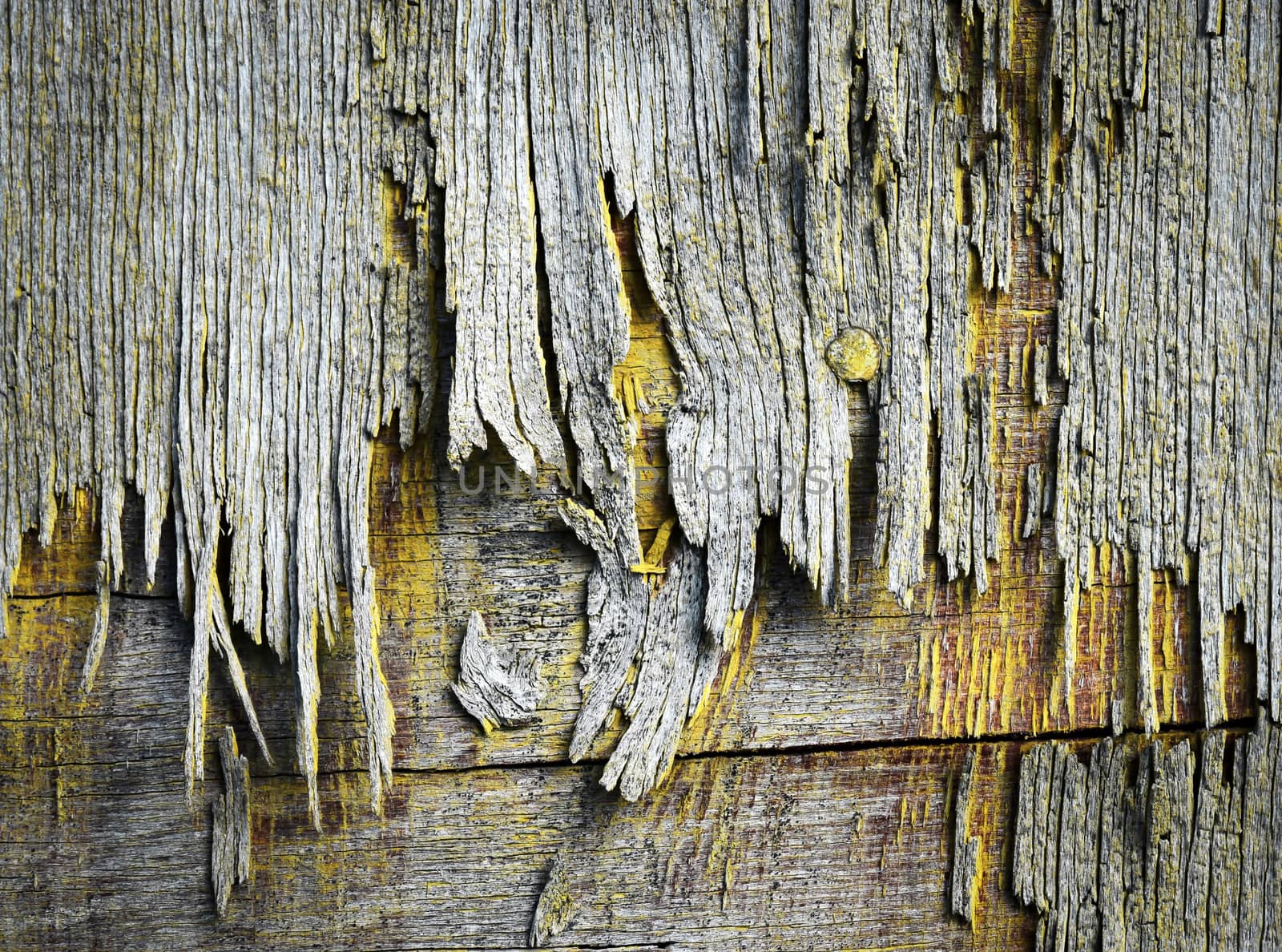 abstract background or texture eroded old board