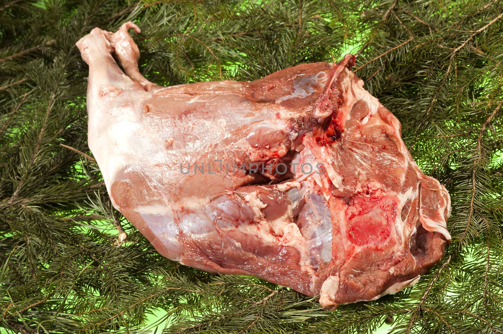 Fresh Boars Rump by hanusst