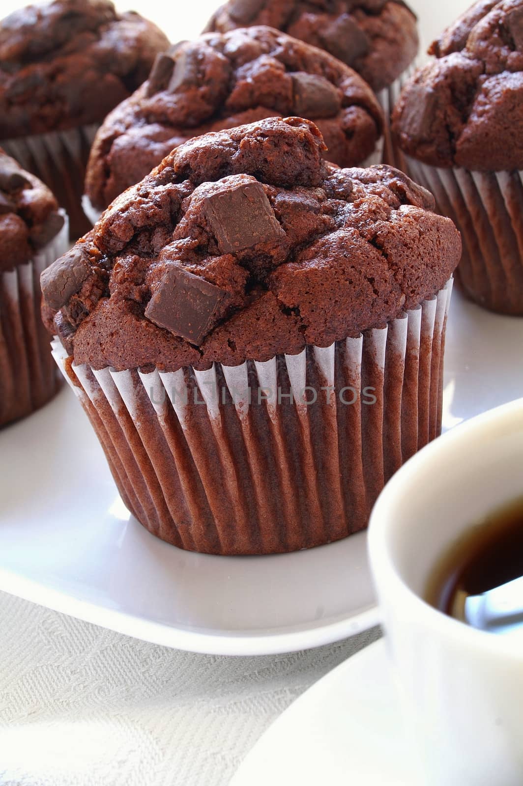 chocolate muffins by neil_langan