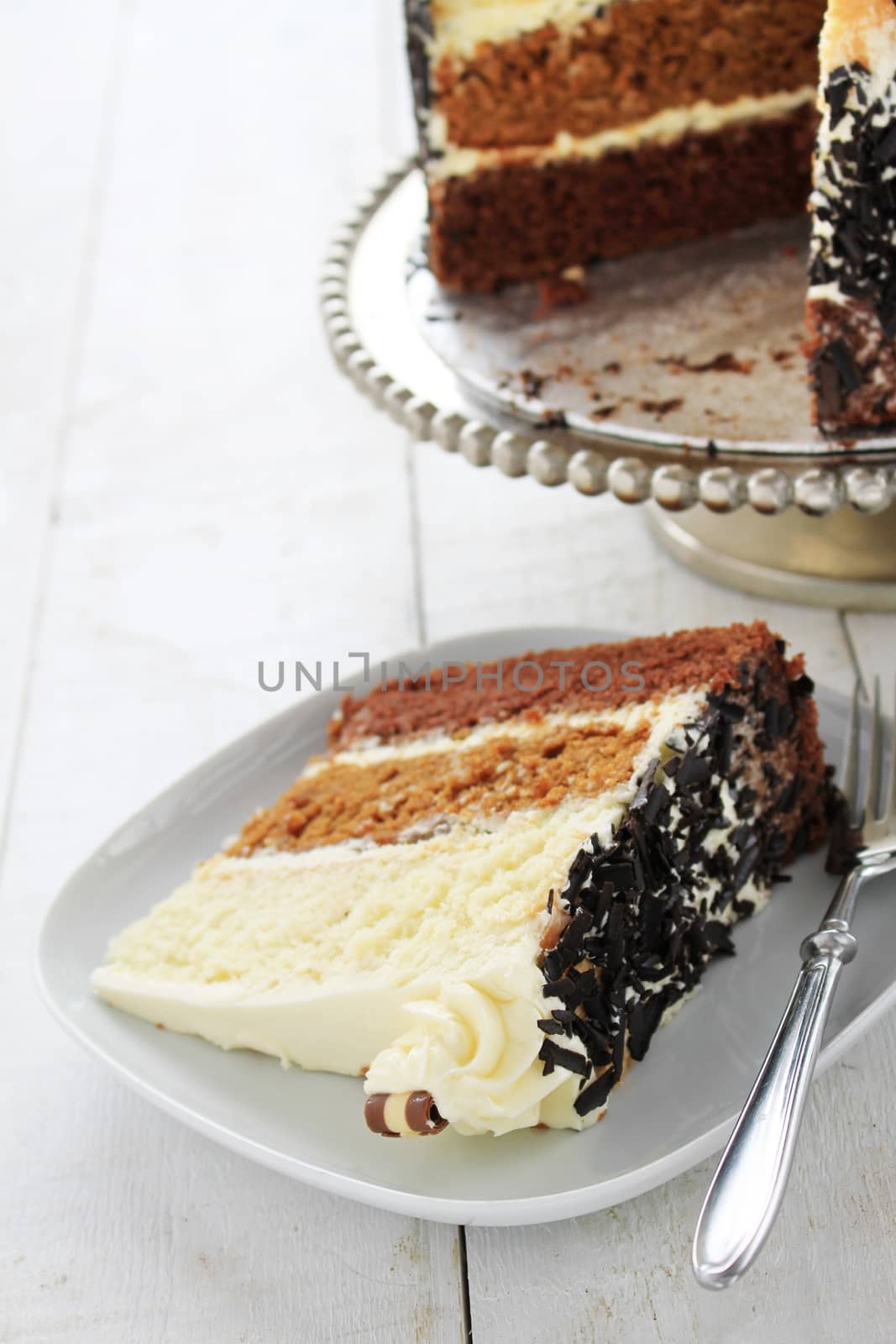 chocolate layer cake by neil_langan