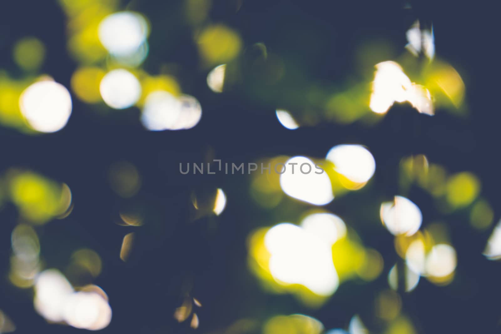 abstract natural blur background, defocused leaves, bokeh, nature background