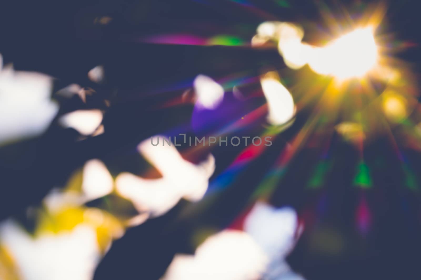 abstract natural blur background, defocused leaves, bokeh, nature background