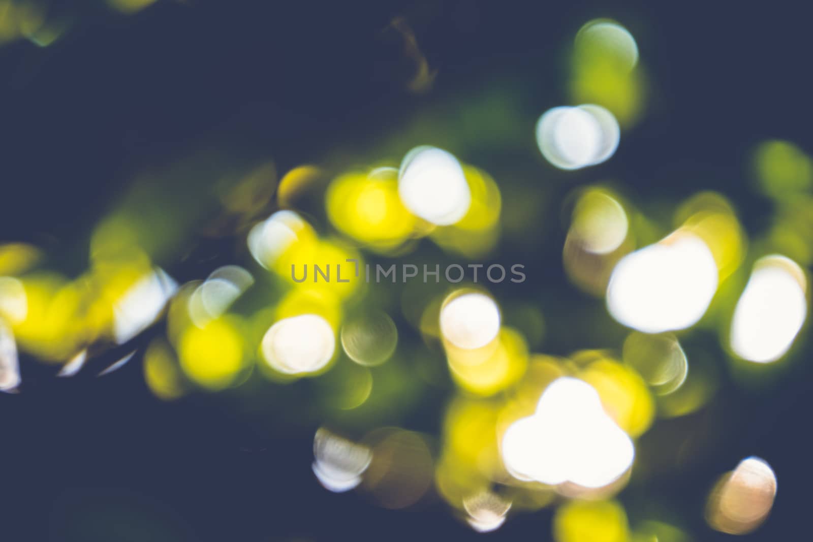 abstract natural blur background, defocused leaves, bokeh, nature background