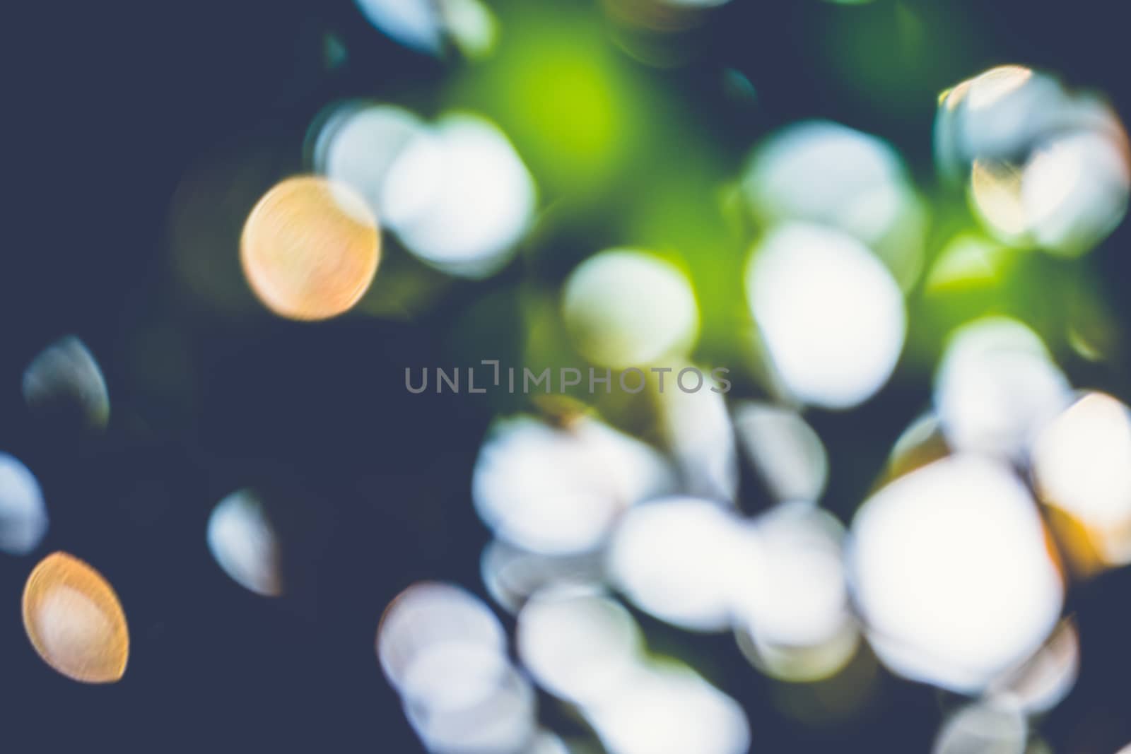 abstract natural blur background, defocused leaves, bokeh, nature background