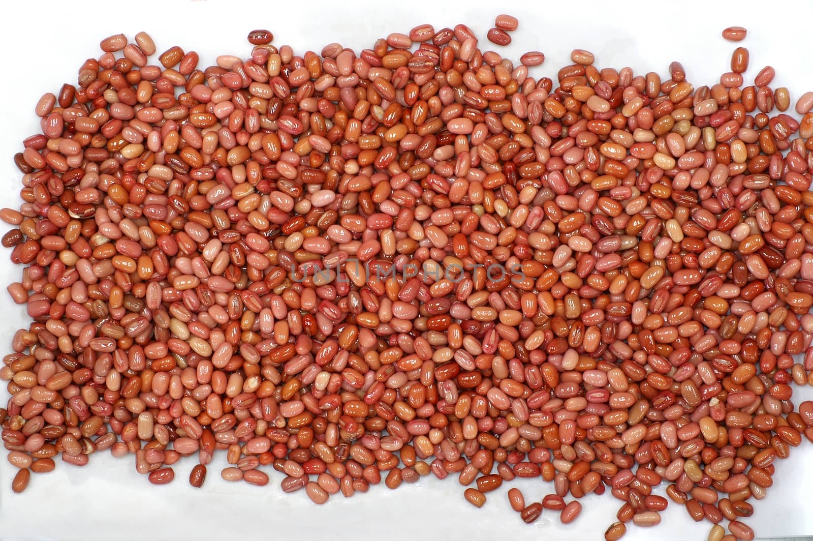 grain and pulses