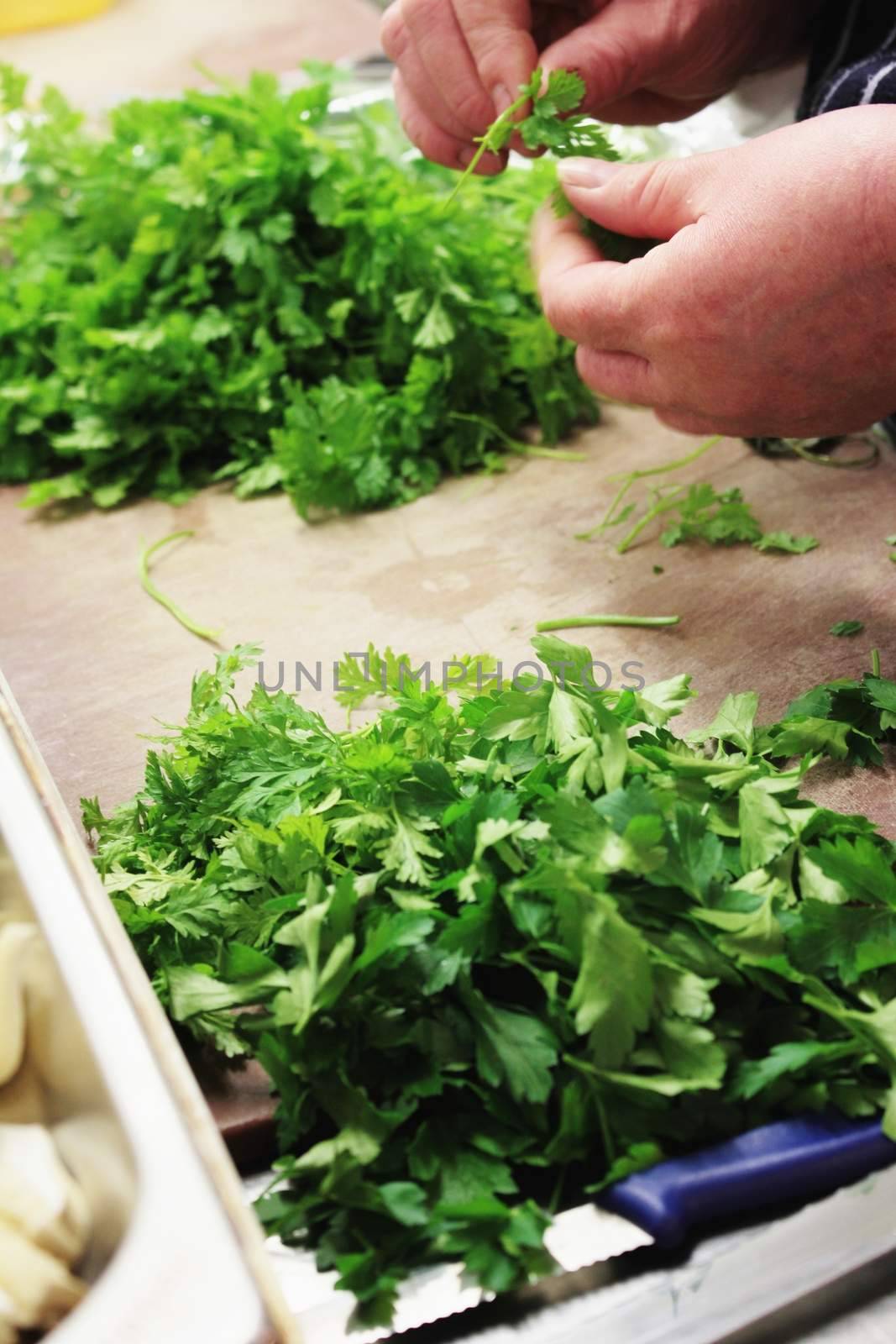 chopping fresh herbs by neil_langan