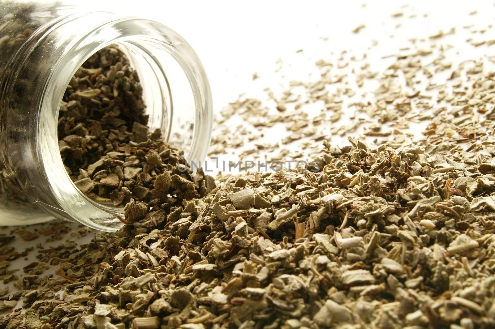 fresh dried sage herb