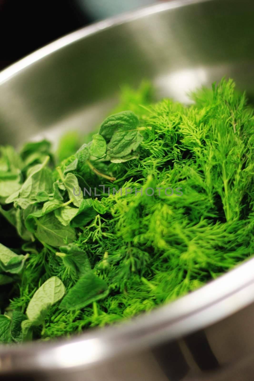 fresh herbs by neil_langan