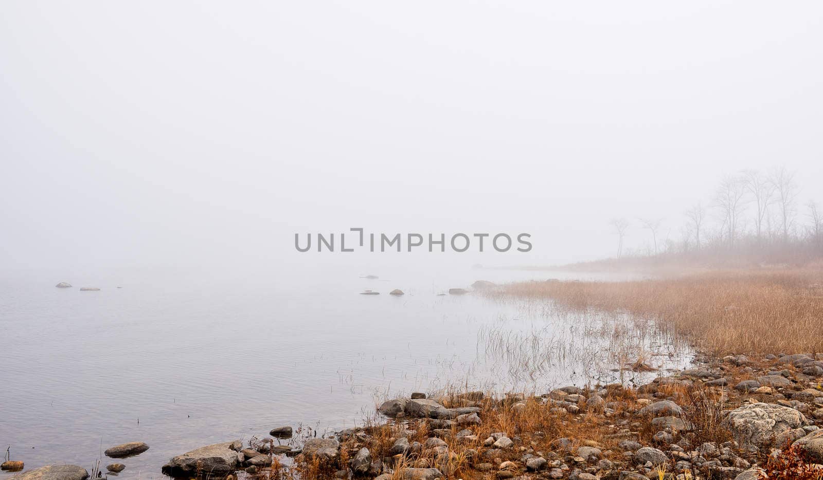 Thick dense fog enveloping Ottawa River shoreline - bright diffusion, mid-morning sunrise.