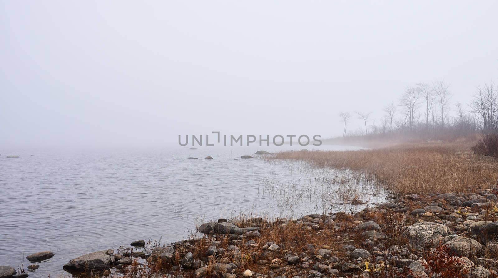 Thick dense fog enveloping Ottawa River shoreline - bright diffusion, mid-morning sunrise.