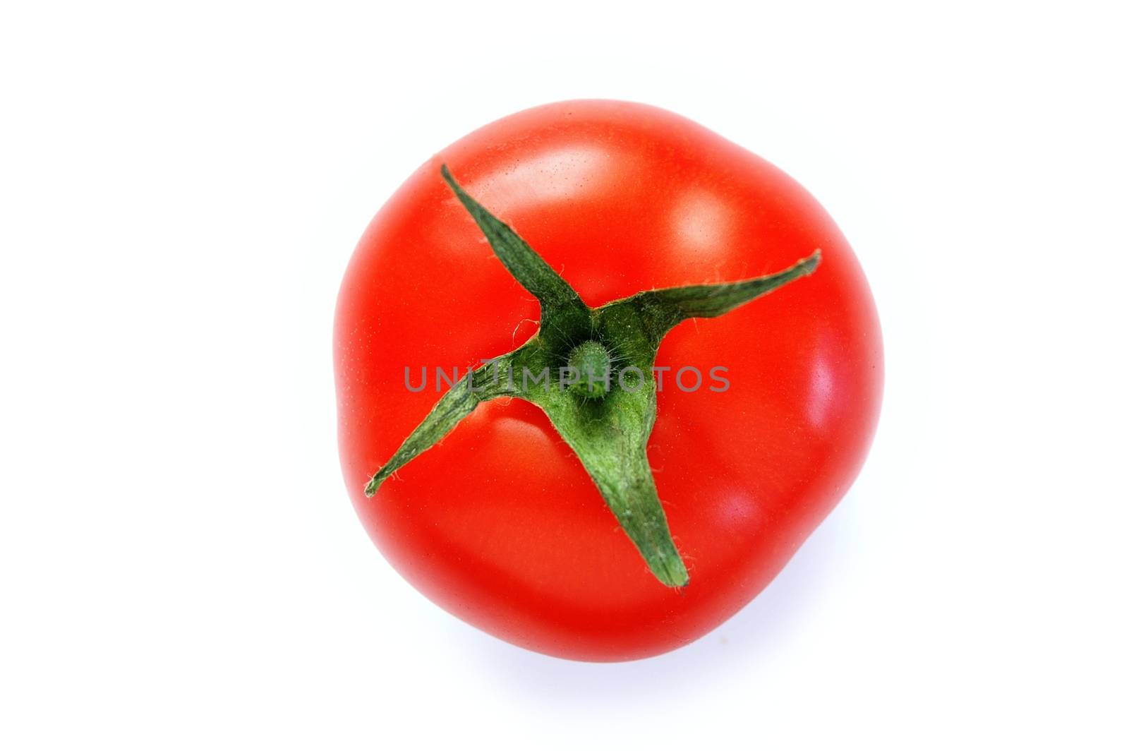 fresh red tomato by neil_langan