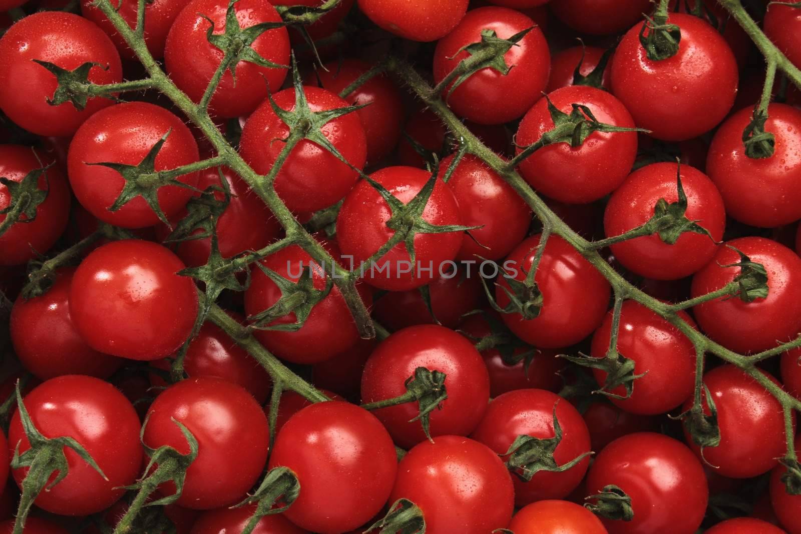 vine tomatoes by neil_langan
