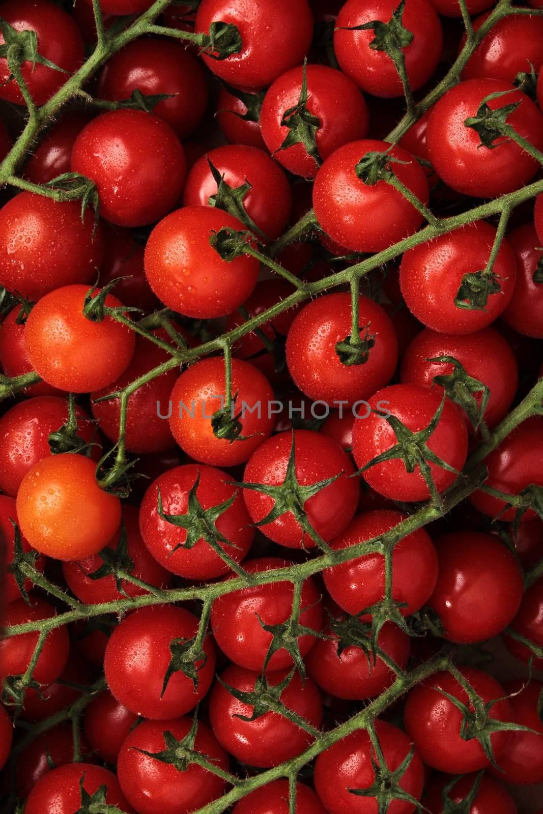 vine tomatoes by neil_langan