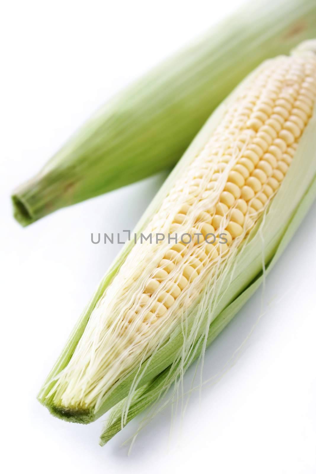 fresh sweetcorn cob