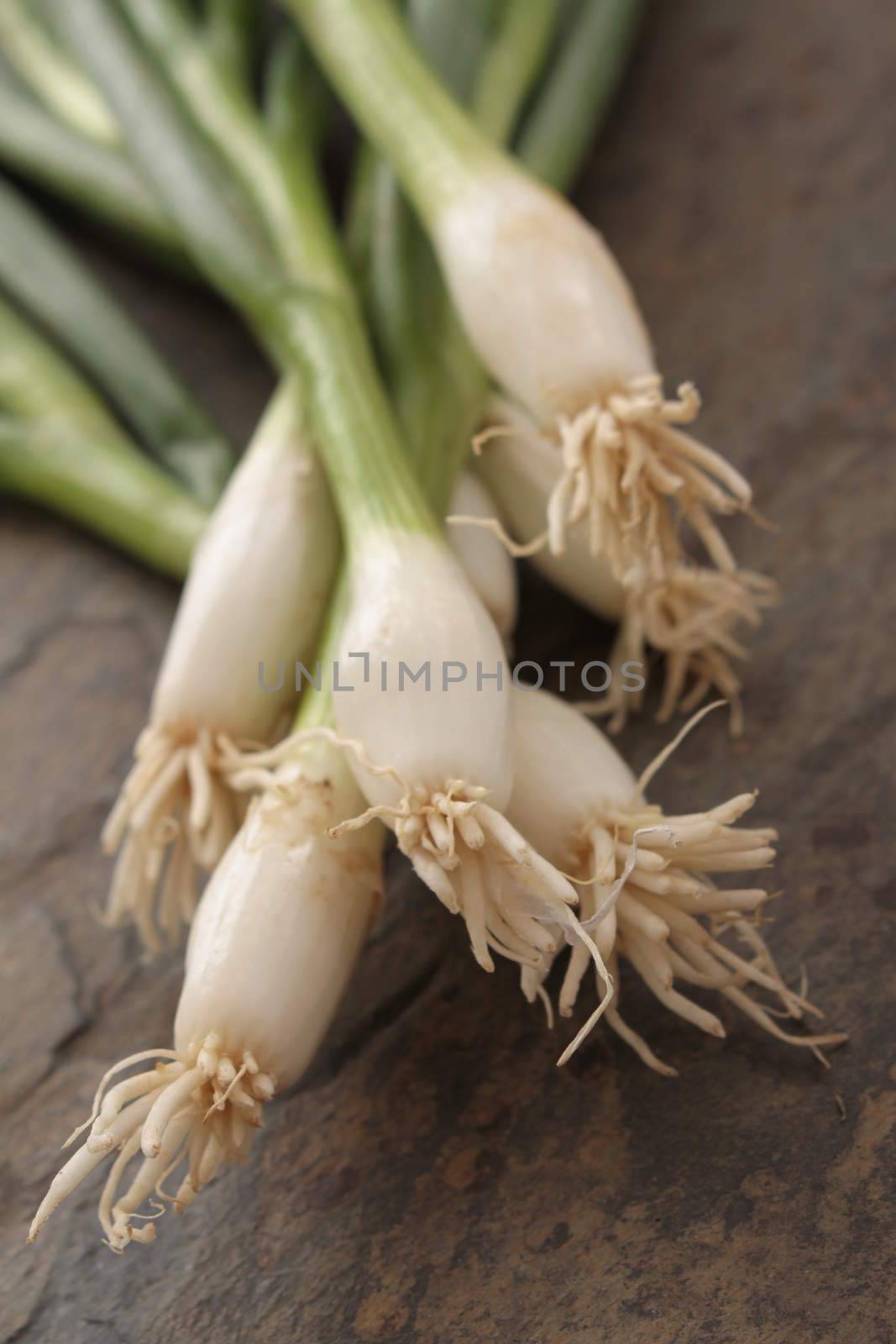 spring onions by neil_langan