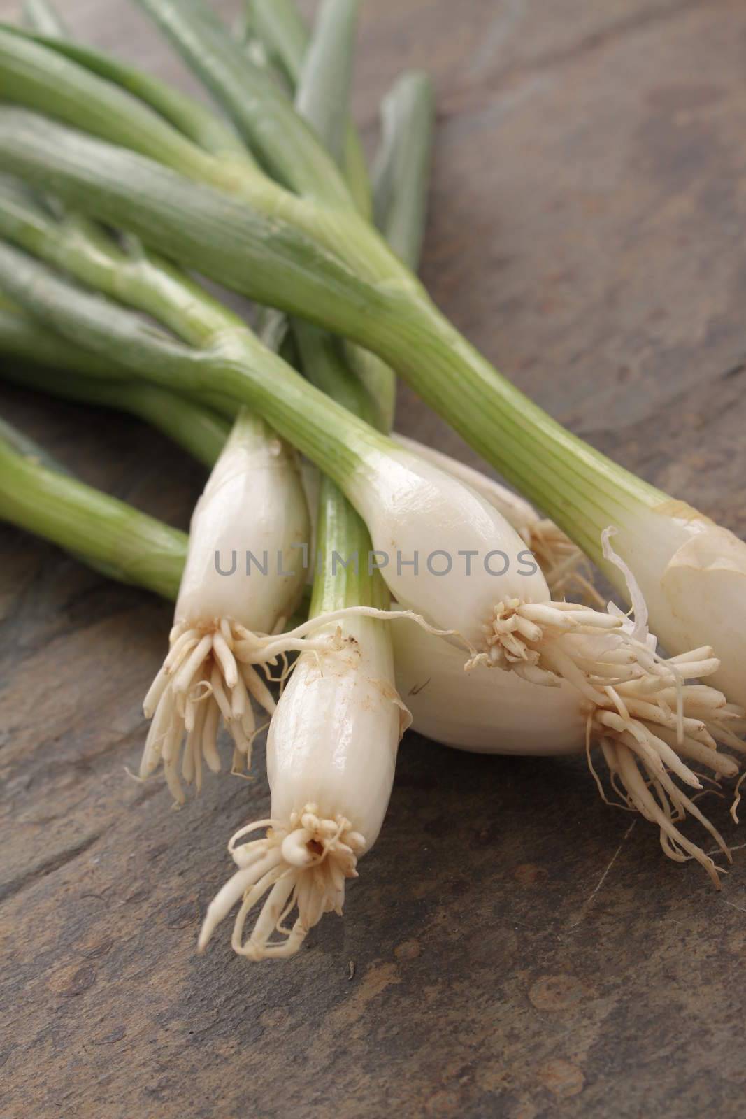 fresh spring onions on slate