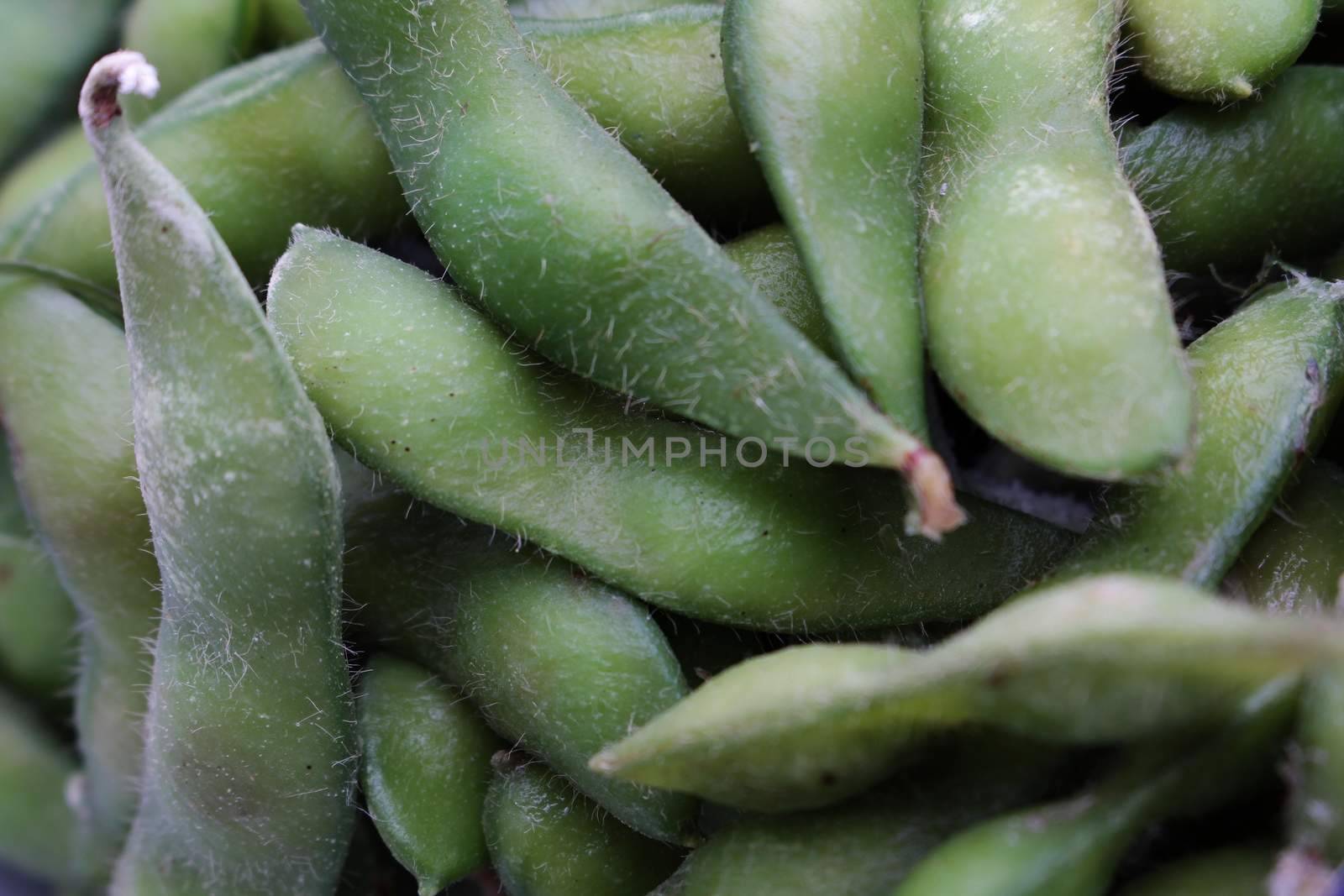 fresh soya beans